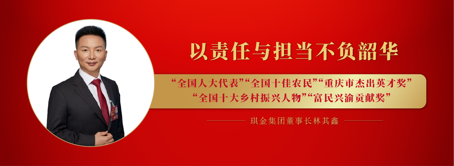 琪金集团董事长林其鑫获得多项荣誉